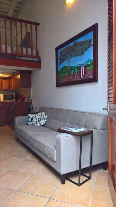 Old San Juan Historic Loft 4 The Adventurous Apartment Екстериор снимка